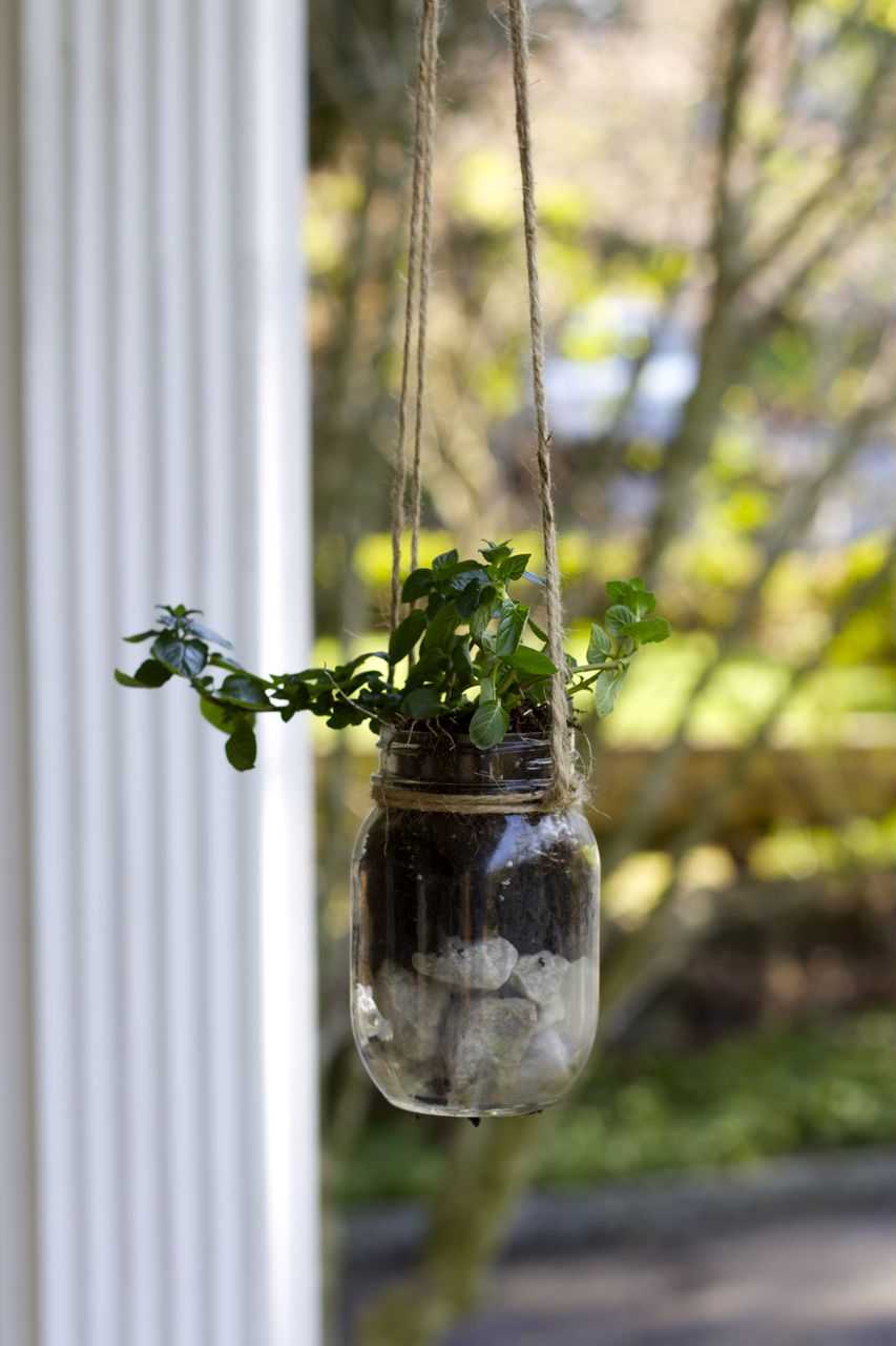 hanging planter