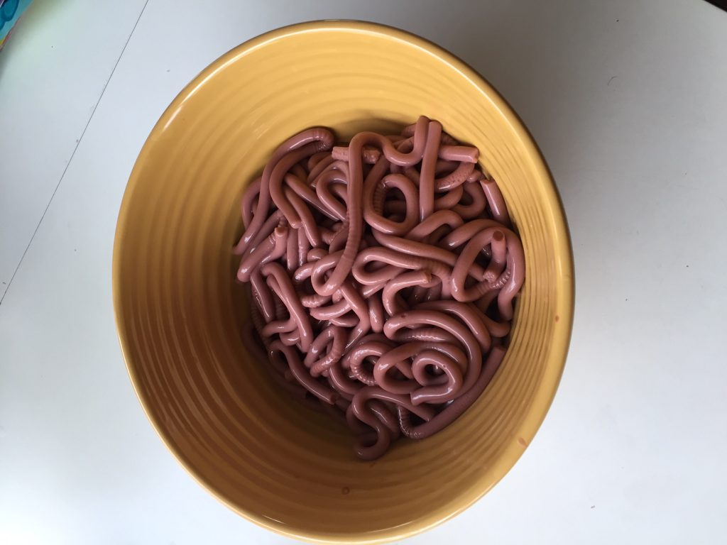 how to make jello worms for halloween