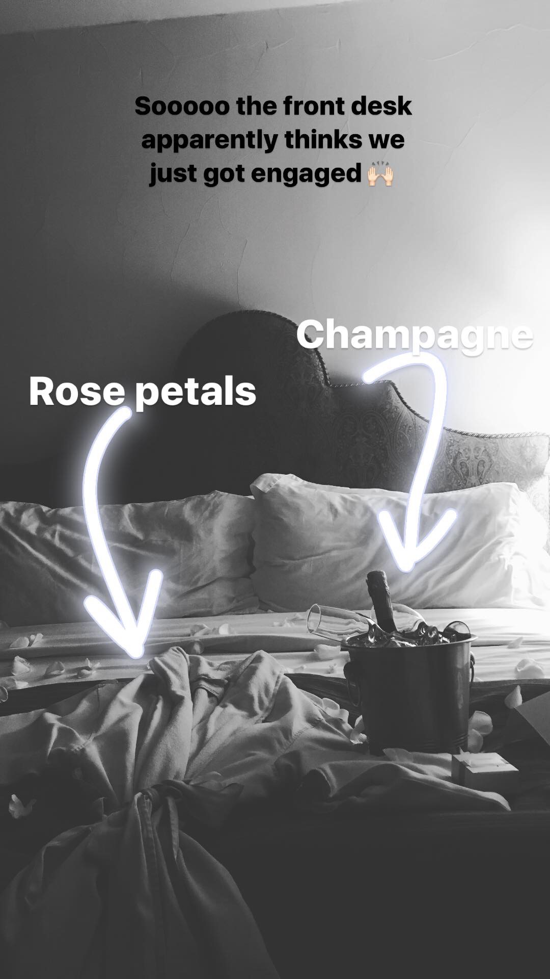 romantic rose petals and champagne in bed
