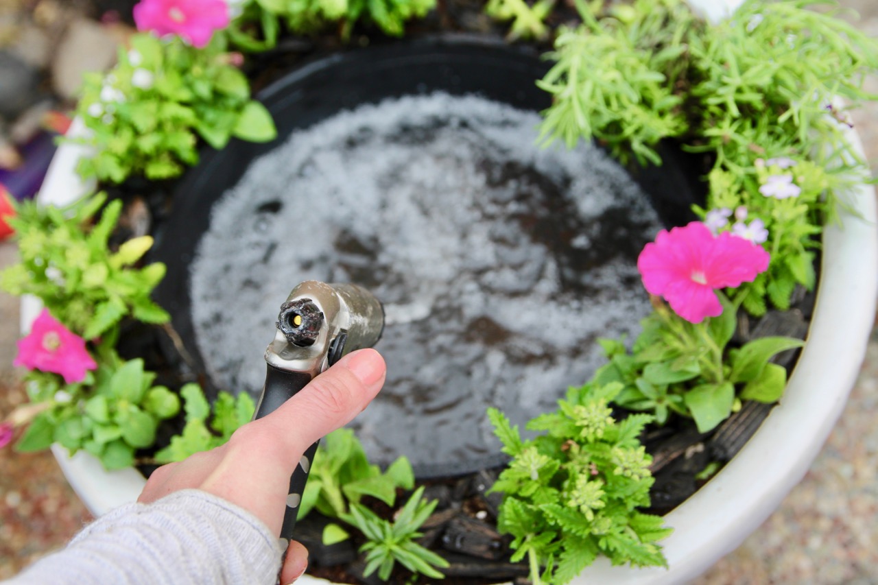 DIY Solar Water Fountain Under $50 • Southern Chick Journal
