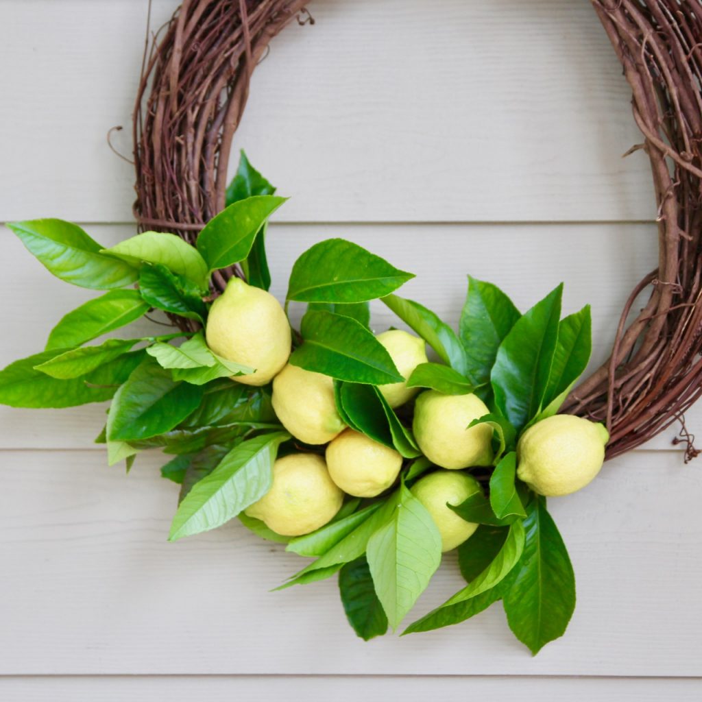 how to make a simple wreath with lemons