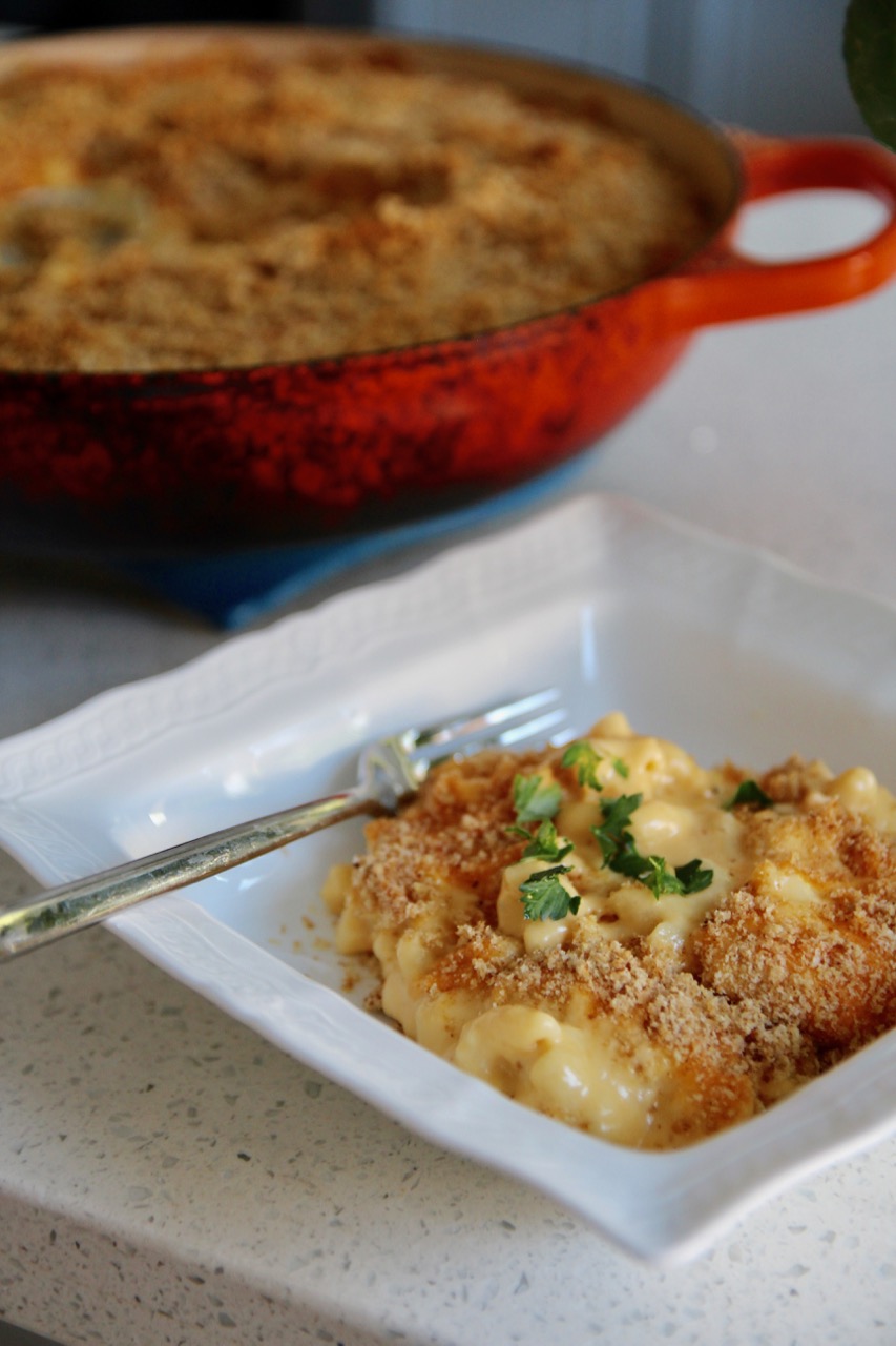 delicious macaroni and cheese for adults made with fairlife milk