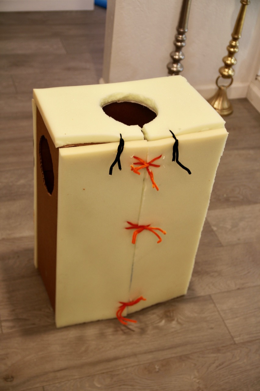 Tissue Box Costume