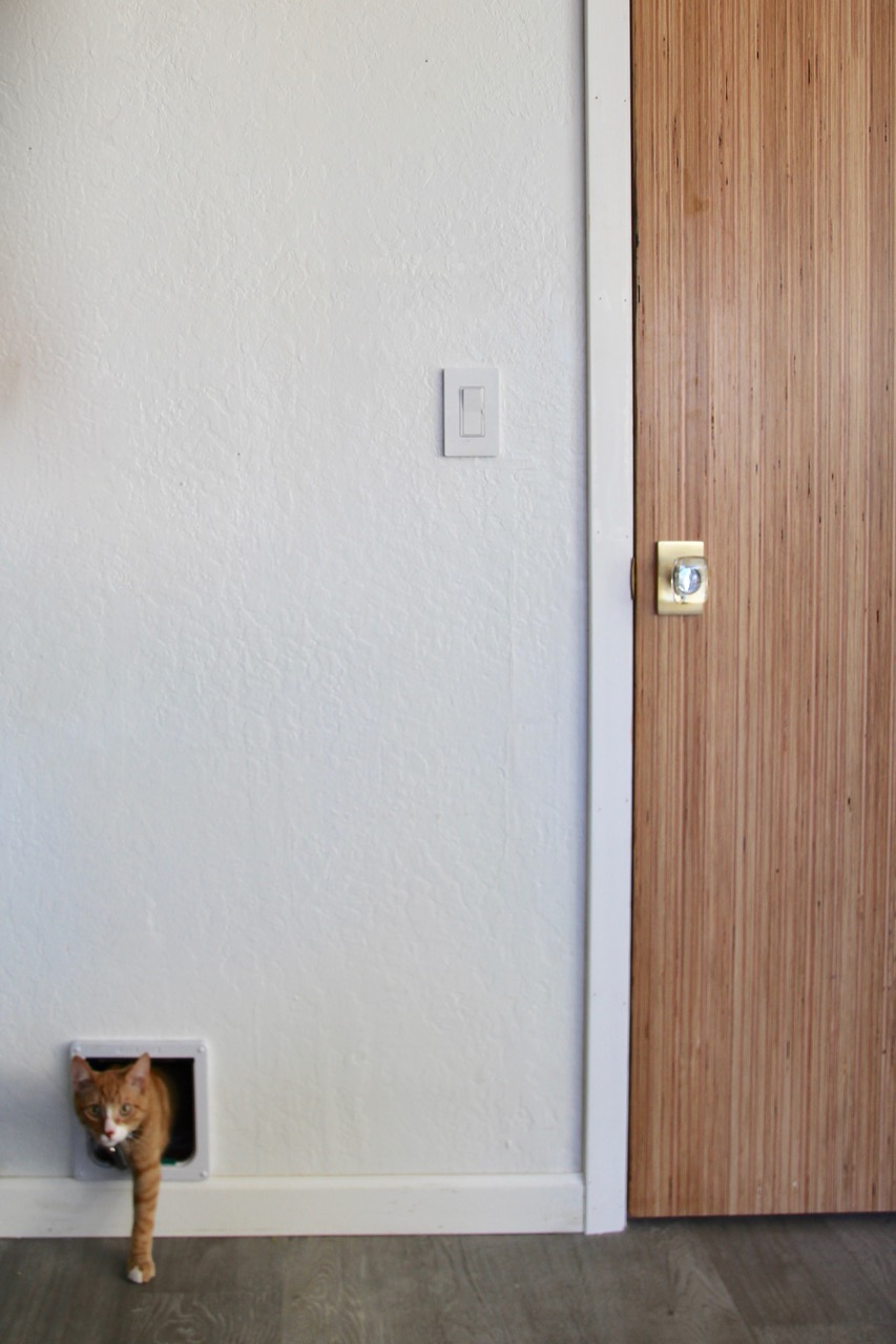 how to install a cat door