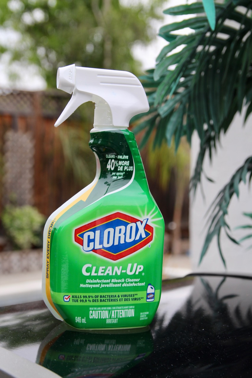 how to use Clorox bleach to clean and disinfect your patio or deck