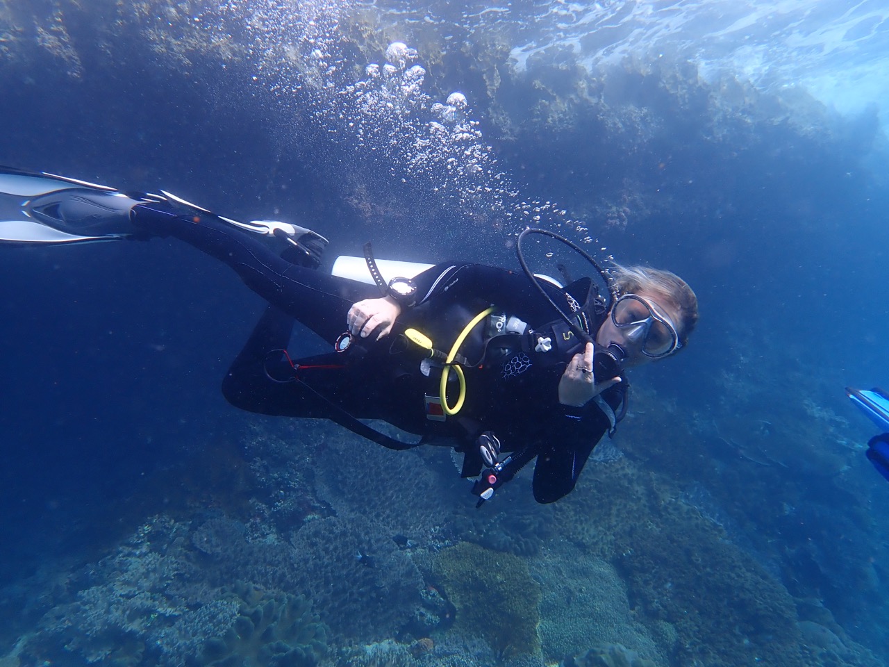 indonesia liveaboard scuba diving