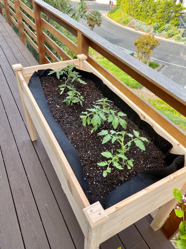 best raised planter for beginner gardeners